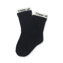 �u�����V�F�X�ibranshes�j/�z�F���u�\�b�N�X