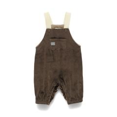 �u�����V�F�X�ibranshes�j/�y���������z�j�b�g�R�[���T���y�b�g