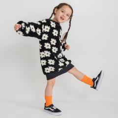 �u�����V�F�X�ibranshes�j/�yWEB����/DRC�z�{�A�����s�[�X