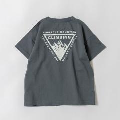 �u�����V�F�X�ibranshes�j/�yWEB����/DRC�z�A�\�[�g�O���t�B�b�N����T�V���c