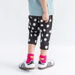 �u�����V�F�X�ibranshes�j/�yWEB����/DRC�z�J�b�g�\�[7����p���c�@�������T�C�Y