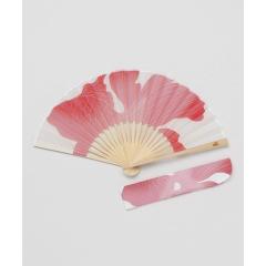 �J���ikaya�j/�y�J���z�Ă̐�q