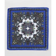 �`���C�n�l�iCAYHANE�j/�y�`���C�n�l�z�J�n�o���_�i