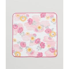 �J���ikaya�j/�y�J���z�ԉ��͂񂩂�