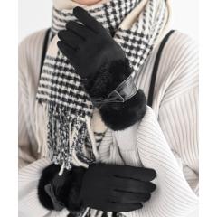 �A�[���E�s�[�E�G�X�ir�Dp�Ds�j/�O���[�u