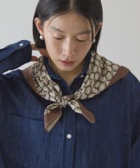 �A�����J���z���b�N�iAMERICAN HOLIC�j/�T�b���X�J�[�t