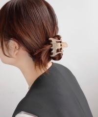 �A�l���l�iANEMONE�j/�t�����X���j���A���X�J���[�o���X[S]