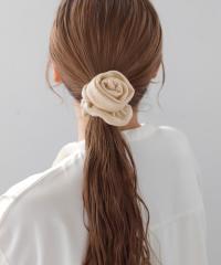 �A�l���l�iANEMONE�j/�j�b�g���[�Y�V���V��