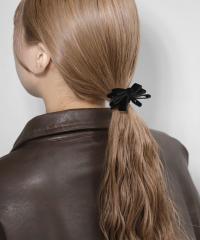 �A�l���l�iANEMONE�j/�x���A���{���w�A�S��