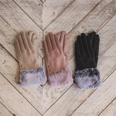 �C�b�c�f���iITS�fDEMO�j/�y��􂢉z�c�[�g���t�@�[�X�G�[�h�O���[�u