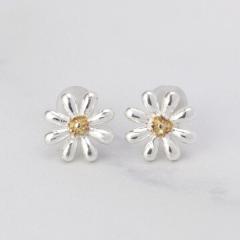 �C�b�c�f���iITS�fDEMO�j/���g���u���[���~�j�s�A�X