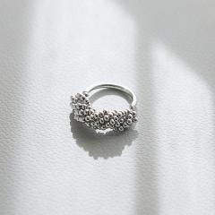 �R���b�N�X�icollex�j/�ydignif�z�o�u�������O