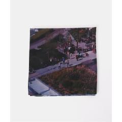 �yNEW�z���[ �o�C �X�s�b�N���X�p���iU by SPICK&SPAN�j/LY / �G�����C Postcard scarf