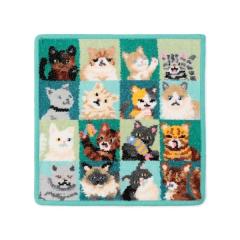 �t�F�C���[�iFEILER�j/���b�N�I�}�C�L���b�g�@�n���J�`