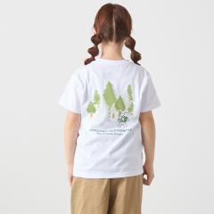 �V�b�v�X �G�j�B�iSHIPS any�j/THE NORTH FACE:  SHIRETOKO �v�����g T�V���c