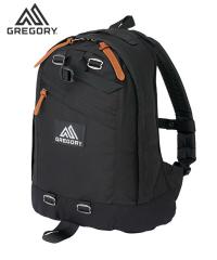 �O���S���[�iGREGORY�j/�yGREGORY�z�t�@�C���f�C / 2�J���[