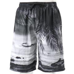 �yNEW�z�J���t�H���j�A�V���A�iCalifornia Shore�j/CALIFORNIA SHORE�@�t�H�g�v�����g�g�����N�X