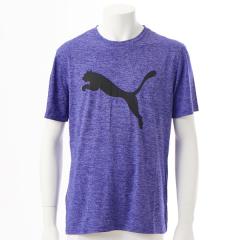 �v�[�}�iPUMA�j/PUMA/�v�[�}/TRAIN FAVORITE �w�U�[ CAT SS T�V���c