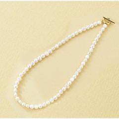 �o�b�N���[�h�t�@�~���[�iBACKYARD FAMILY�j/�W���p�[���A�Ȃ�}���e���l�b�N���X