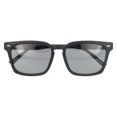 �o�b�N���[�h�t�@�~���[�iBACKYARD FAMILY�j/�������Ό��T���O���X