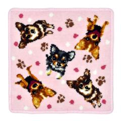 �A�[���W���[/�n���J�` �����y�`�����z�^�I���n���J�` �V�F�j�[���D 23cm ��100% �s���N