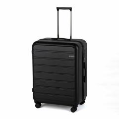 �G�[�X�iACE�j/��e�� 1�T�Ԉȏ� �X�[�c�P�[�X ACE �G�[�X �t���b�g�{�[�h 100L