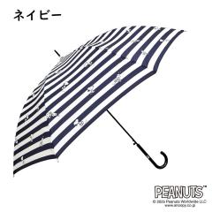 �u�����Y�iBRONZE�j/�P �X�k�[�s�[ �J�P �{�[�_�[ �L�����N�^�[ ���킢�� ��l���� ���� ���C�� ���� ���K�i 