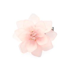 �\�E�r�G���iSOUBIEN�j/������ ���f�B�[�X �q�� ���{�� �� �R�T�[�W��