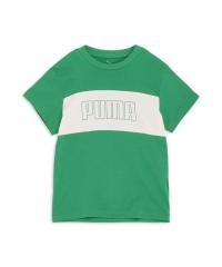 �v�[�}�iPUMA�j/T�V���c PUMA SPORTS MX SS T�V���cB