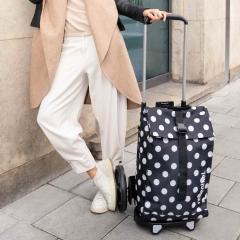 ���C�[���^�[���ireisenthel�j/reisenthel �V���b�s���O�J�[�g CITY CRUISER �������J�[�g