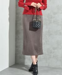 �C���^�[�v���l�b�g�iINTERPLANET�j/�X�G�[�h�|���`�E�G�X�g�S���i���[�X�J�[�g