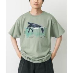 �A�[�o�����T�[�` �h�A�[�Y�iURBAN RESEARCH DOORS�j/LIBERTY GRAPHICS�@Feeding Loon