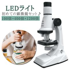 ベルソス VS-N008SY 4Kビデオムービーカメラ「VS-N008SY」VERSOS