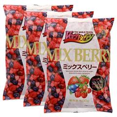 冷凍】 ラズベリー 500g ☆セルビアから直輸入 【入り数20個】 (ケース