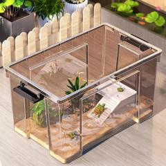 ベタ 水槽 ベタ飼育箱 熱帯魚観賞魚 水族館 ショーベタ 株式会社錦照ら