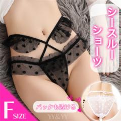 セクシー セクシーショーツ シースルー すけすけ 透けるショーツ 穴あき下着 ショーツ レディースショーツ エロパン 総レース セクシー