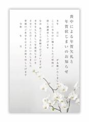喪中はがき(年賀状じまい文章)私製 10枚入り 詳細記入用パピレイMJF-201
