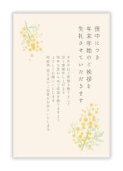 喪中はがき 私製 10枚入り 詳細記入不要パピレイMOP-210