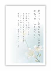 喪中はがき 私製 10枚入り 詳細記入不要パピレイMOP-207