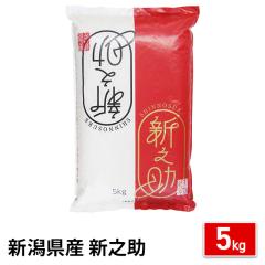 ���� �V�����Y �V�V�� ������ 5kg �ߘa7�N�Y / �u�����h�� �� �����Y �V���Y