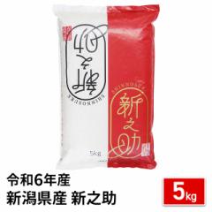 お米 新潟県産 新之助 精白米 5kg 令和6年産 / ブランド米 米 国内産 新潟産