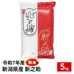 新米 お米 新潟県産 新之助 精白米 5kg 令和7年産...