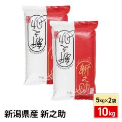 お米 新潟県産 新之助 精白米 10kg（5kg×2袋） 令和7年産 / ブランド米