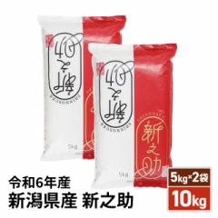 お米 新潟県産 新之助 精白米 10kg（5kg×2袋） ...