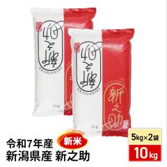 新米 お米 新潟県産 新之助 精白米 10kg（5kg×2...