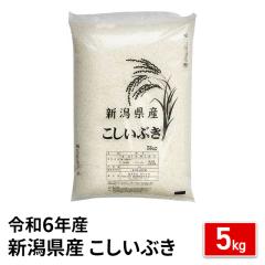  VY Ԃ  5kg ߘa6NY / uh  Y VY 