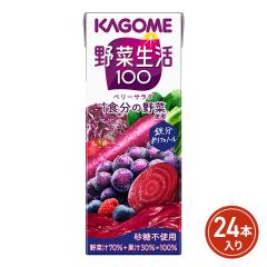 �J�S�� ��ؐ���100 �x���[�T���_ 200mL�~24�{�i24�{�~1�P�[�X�j