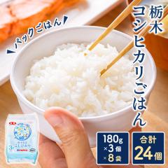 Ȗ؃RVqJ͂ 24i180g~3~8܁j   p[CX S_ pbN͂ Ђ