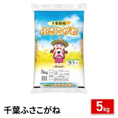 お米 千葉県産 ふさこがね 精白米 5kg（5kg×1袋） 令和7年産