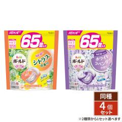 [2種類から1セット選択] [ケース販売] ボールド ...
